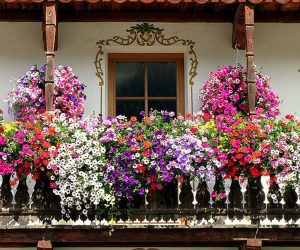 casa cu flori la balcon